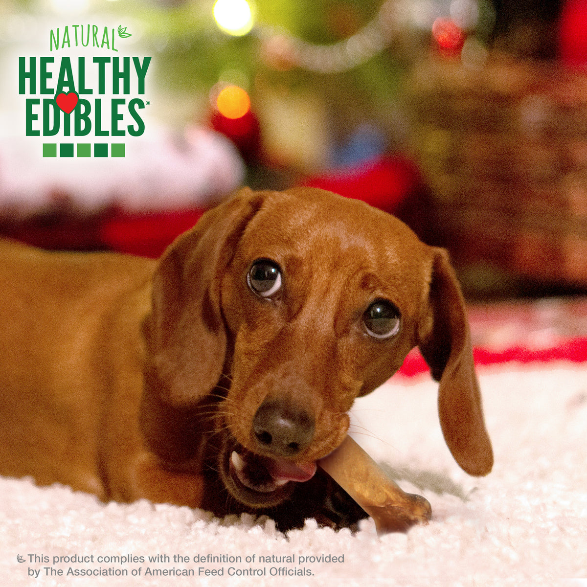 Nylabone Healthy Edibles Natural Holiday Dog Treats Roast Beef Small/Regular - Up to 25 Ibs. (2 Count)