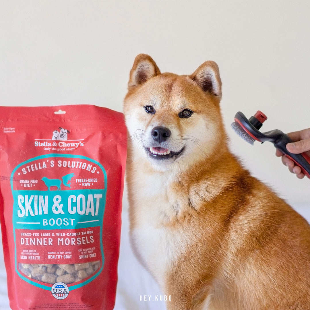 Freeze-Dried Solutions Skin &amp; Coat Lamb &amp; Salmon - 13 oz