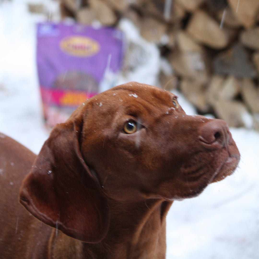 Cadet Gourmet Duck Breast Treats for Dogs 28 Ounce