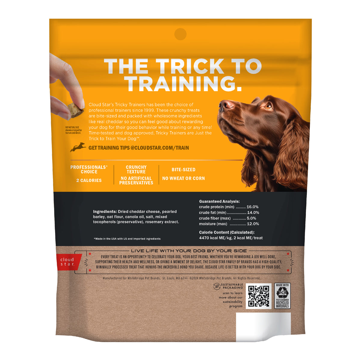 Cloud Star Crunchy Tricky Trainer Cheese 8 oz. - back