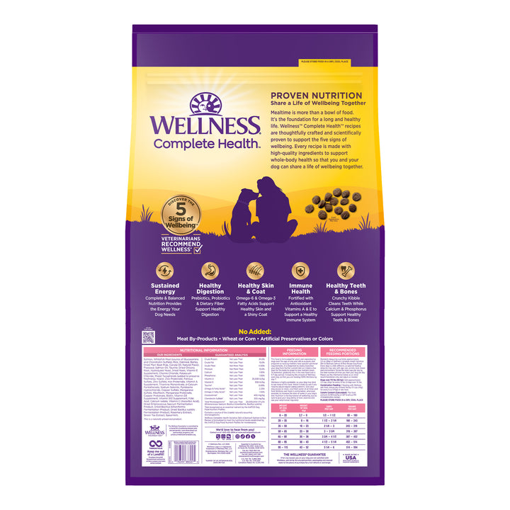Wellness Complete Health Sensitive Skin &amp; Stomach Dry Dog Food, Wholesome Grains, Natural, Salmon &amp; Rice Recipe, (24-Pound Bag)