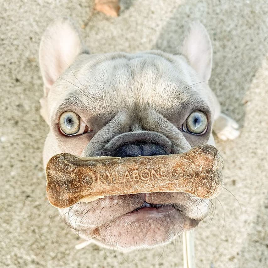 Nylabone Healthy Edibles All-Natural Long Lasting Chew Treats Roast Beef Medium (2 Count)