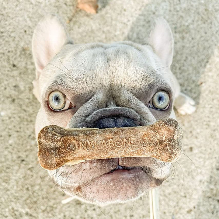 Nylabone Healthy Edibles All-Natural Long Lasting Chew Treats Roast Beef Medium (2 Count)