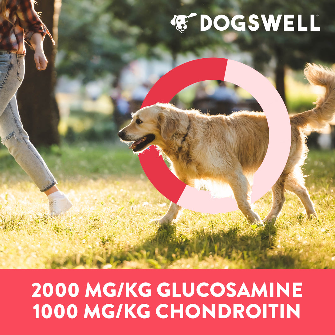 Dogswell Hip Joint Grain Free Duck Soft Strips 10 oz