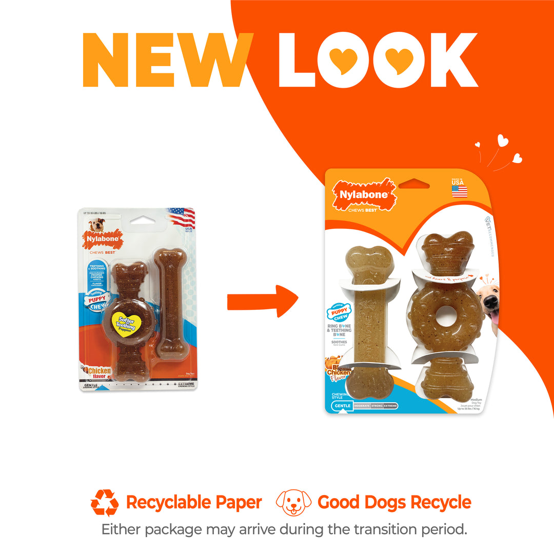 Nylabone Puppy Chew Teething Bone &amp; Ring Bone Chew Toy Chicken Medium (2 Count)