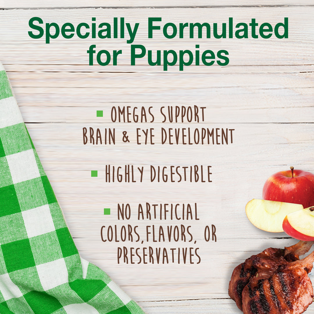 Nylabone Healthy Edibles All-Natural Long Lasting Puppy Chew Treats Lamb &amp; Apple Small (4 Count)