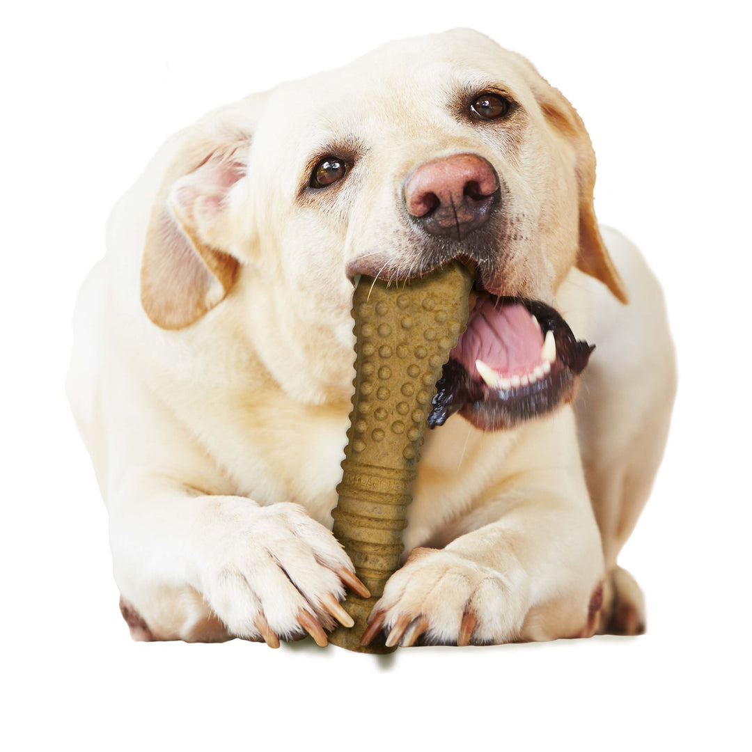 Nylabone Healthy Edibles All-Natural Long Lasting Chew Treats Peanut Butter X-Large (1 Count)