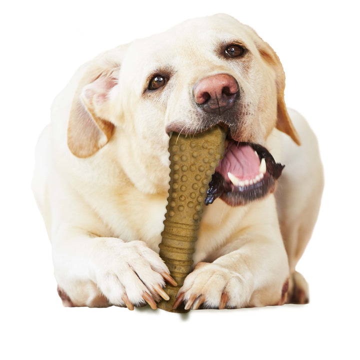 Nylabone Healthy Edibles All-Natural Long Lasting Chew Treats Peanut Butter X-Large (1 Count)