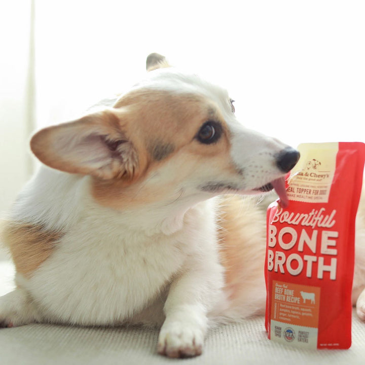 Bountiful Bone Broth Beef - 16 oz