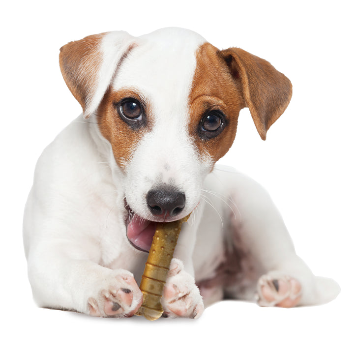Nylabone Healthy Edibles All-Natural Long Lasting Chew Treats Turkey &amp; Apple Small (4 Count)