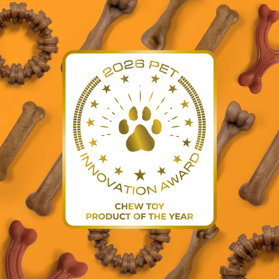 Nylabone Strong Chew Textured Ring Dog Chew Toy Made with Real Beef &amp; Chicken X-Large (1 Count)