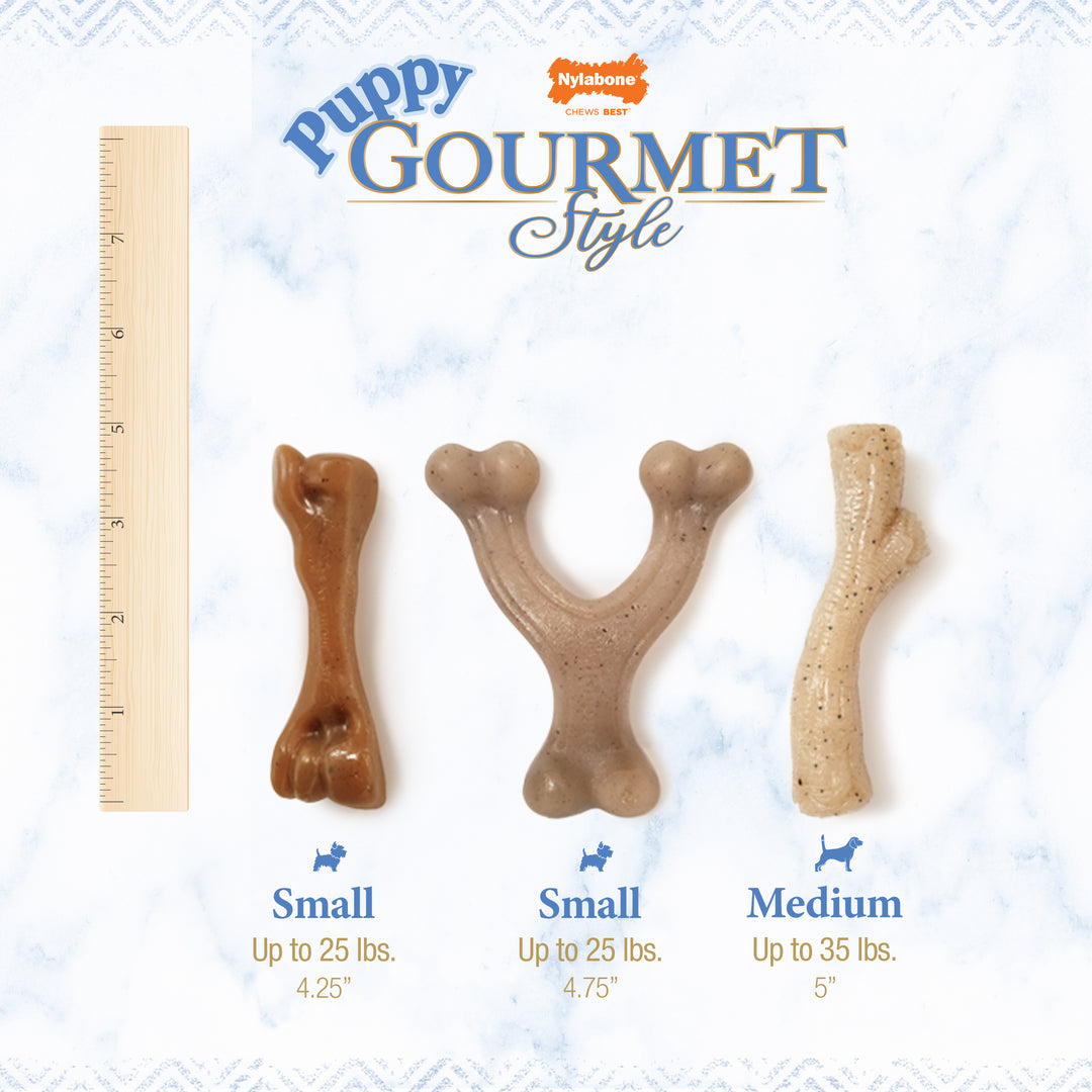 Nylabone Strong Chew Gourmet Style Wishbone &amp; Femur Bone Puppy Chew Toys Peanut Butter &amp; Bacon Small (2 Count)