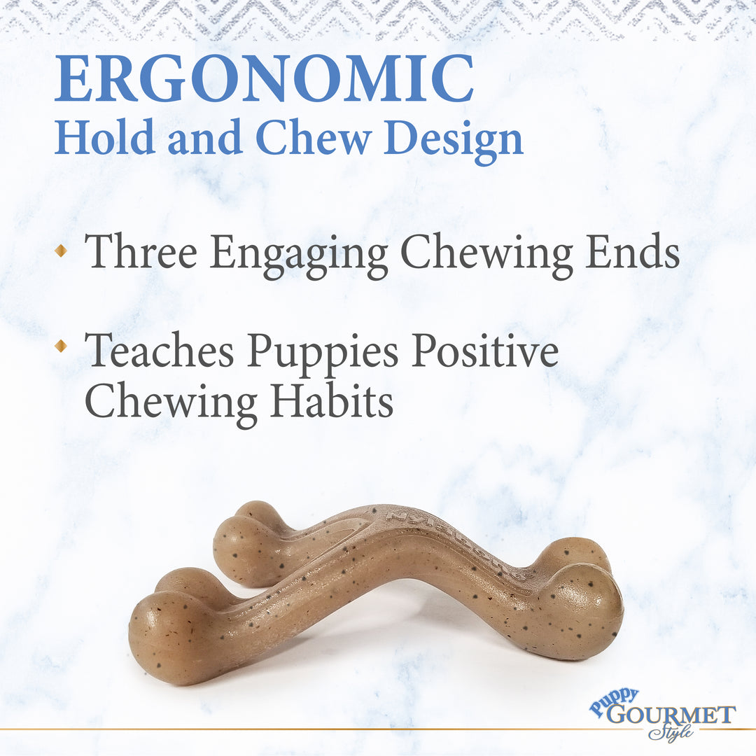 Nylabone Strong Chew Gourmet Style Wishbone Puppy Chew Toy Peanut Butter Small (1 Count)
