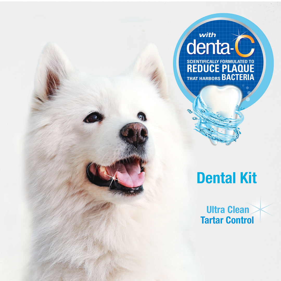 Nylabone Advanced Oral Care Dog Dental Kit Original 2.5 Ounce (3 Count)