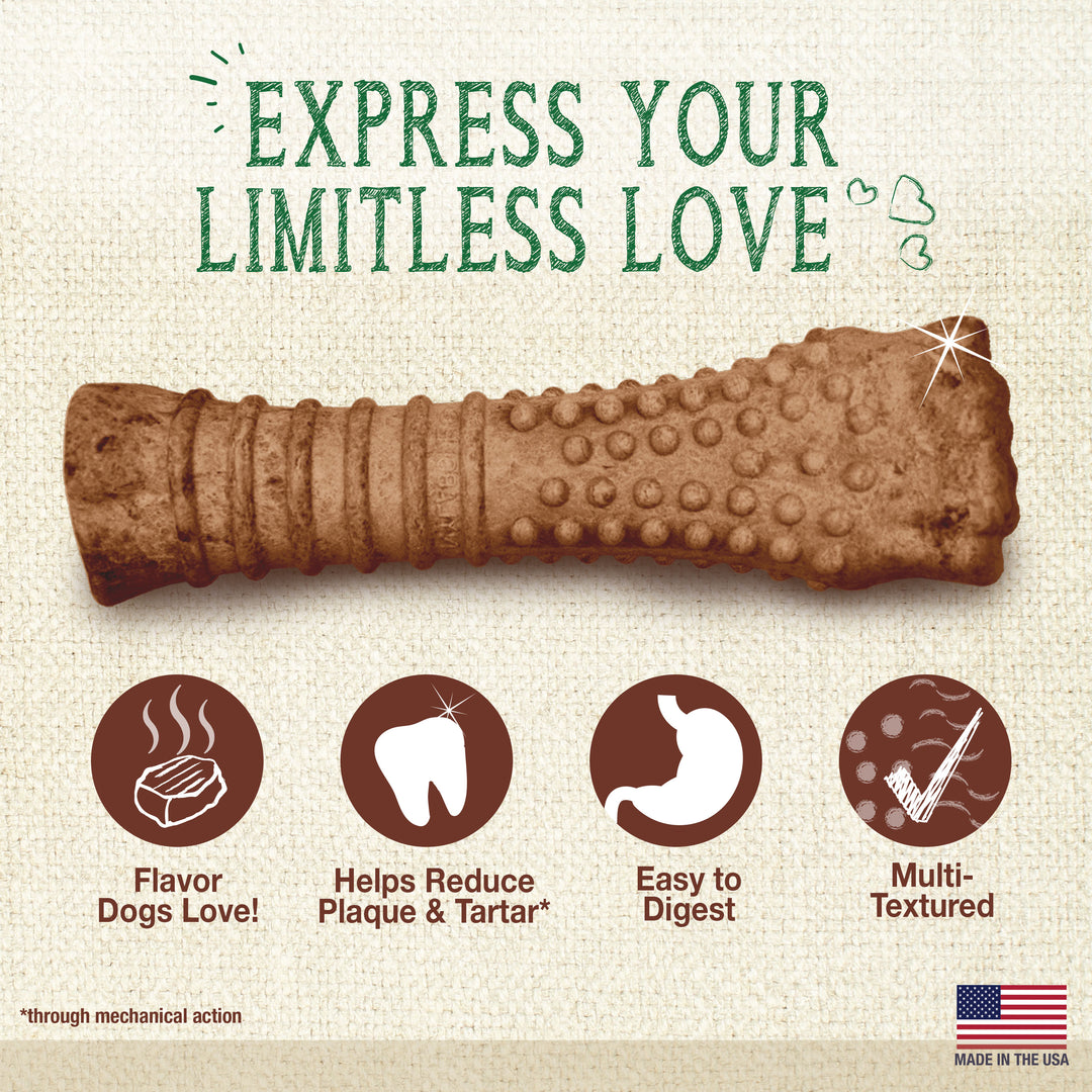 Nylabone Nutri Dent Filet Mignon Flavored Dental Dog Chew Treats X-Large (1 Count)
