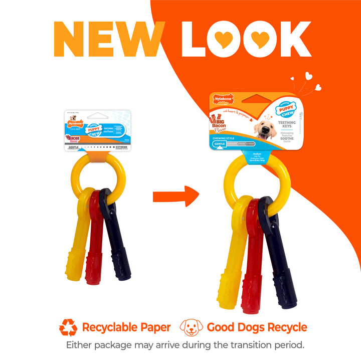 Nylabone Puppy Chew Teething Keys Dog Chew Toy Bacon Medium (1 Count)
