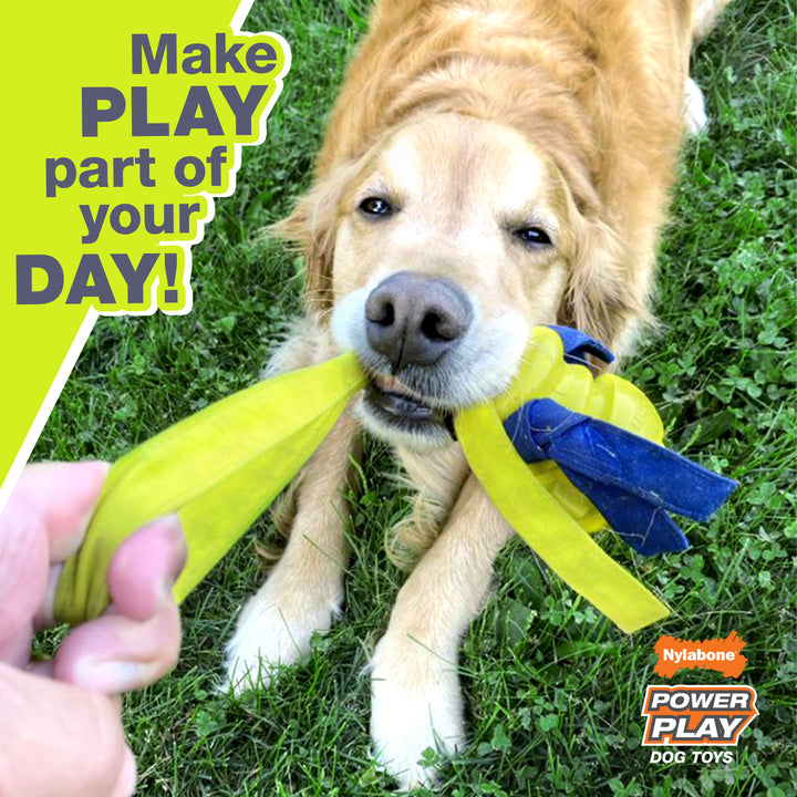 Nylabone Power Play Gripz Dog Soccer Ball Toy Medium (1 Count)