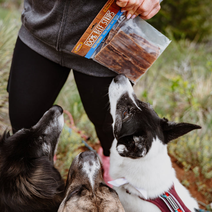 Cadet Slim Cut 100% Beef Strips for Dogs 2.8 Ounce