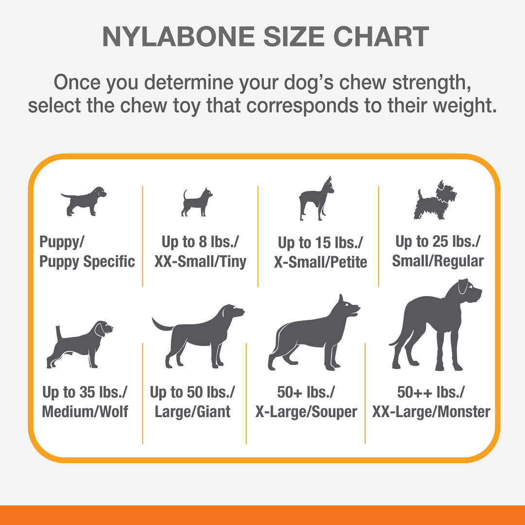 Nylabone Power Chew Shish Kabob Alternative Nylon Chew Toy Chicken Large/Giant - Up to 50 lbs. (1 Count)