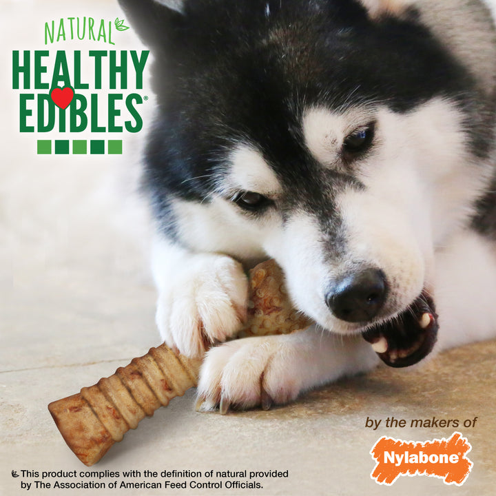 Nylabone Healthy Edibles All-Natural Long Lasting Chew Treats Turkey &amp; Apple X-Large (1 Count)