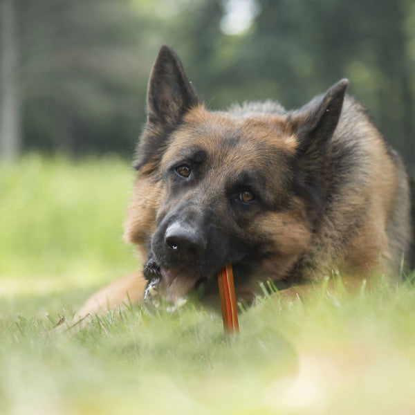 Cadet Choice Chews No Rawhide Dog Chew Sticks Peanut Butter 7 Ounce (10 Count)