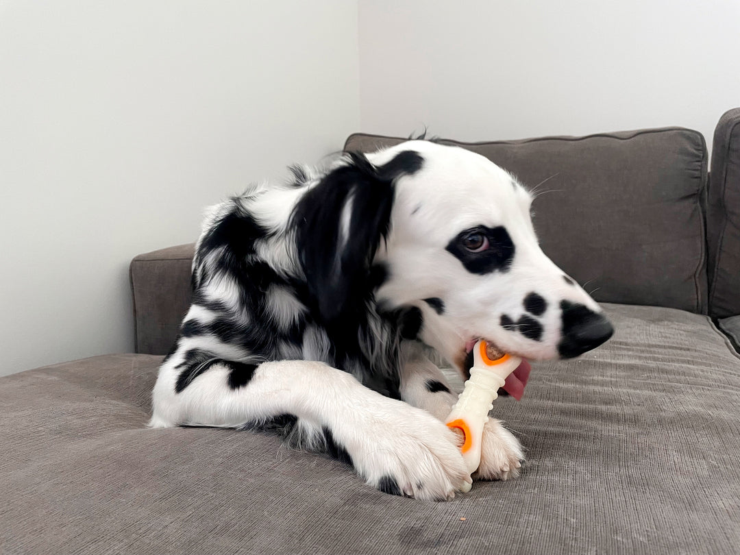 Nylabone All-Natural Pop-In Dog Treat Refills Chicken All Sizes (90 Count)