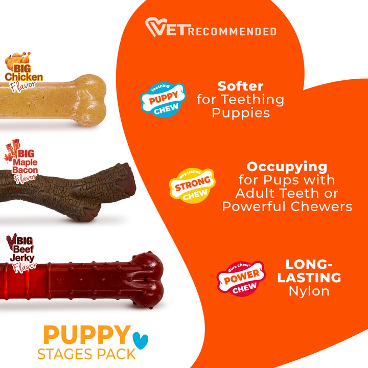 Nylabone Puppy Chew Stages Chew Toy Pack Chicken, Bacon, &amp; Beef Jerky Medium (3 Count)
