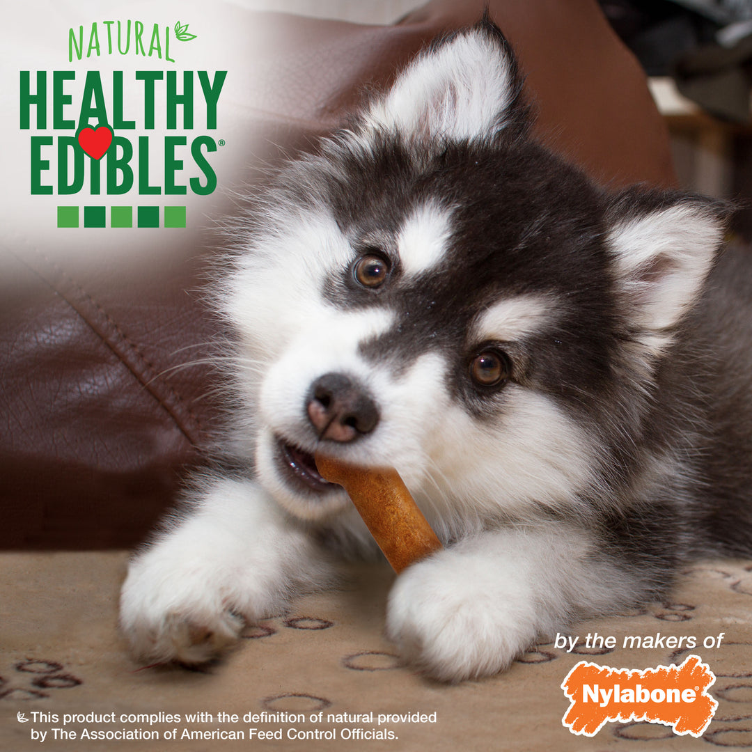 Nylabone Healthy Edibles All-Natural Long Lasting Puppy Chew Treats Turkey &amp; Sweet Potato Small (3 Count)