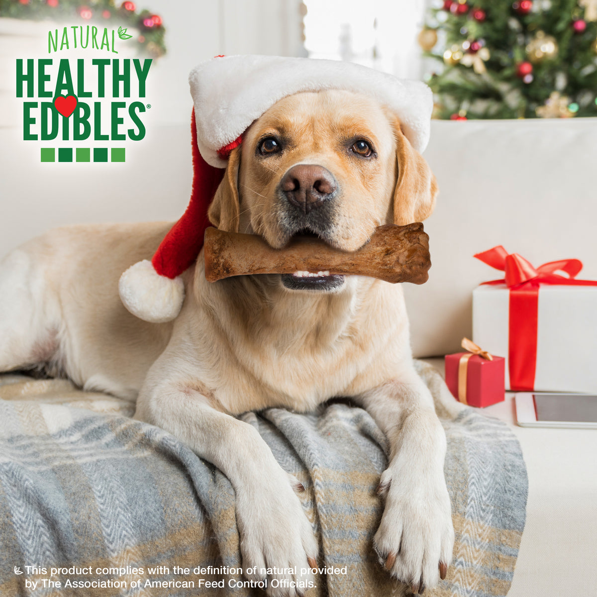 Nylabone Healthy Edibles All-Natural Long Lasting Chew Treats Bacon X-Large/Souper - 50+ lbs. (1 Count)