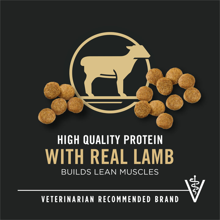 Pro Plan Puppy Lamb and Rice 6lb unpacked