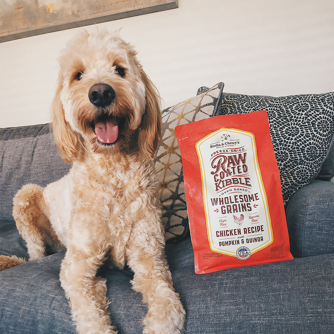 Kibble Raw Coated Wholesome Grain Chicken - 22 lb