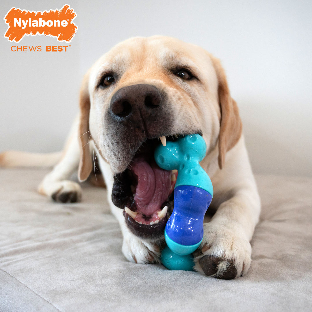 Nylabone Power Chew Twist &