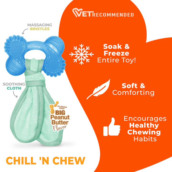 Nylabone Puppy Chew 2-in-1 Teething Freezer Bone Cloth Chew Toy Peanut Butter Blue Small (1 Count)