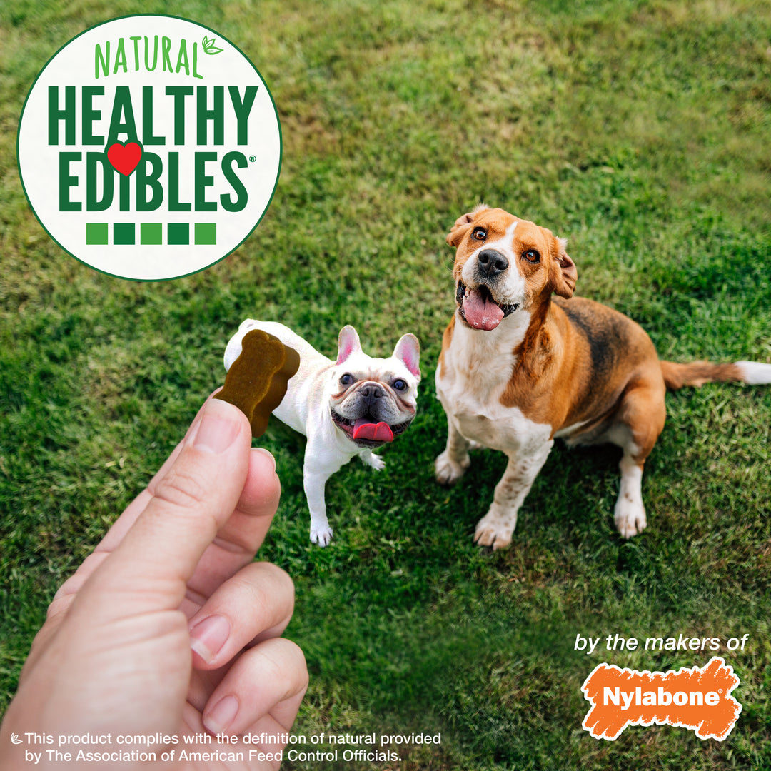 Nylabone Healthy Edibles Chewy Bites All-Natural Soft Chew Treats Bacon 6 Ounce (1 Count)