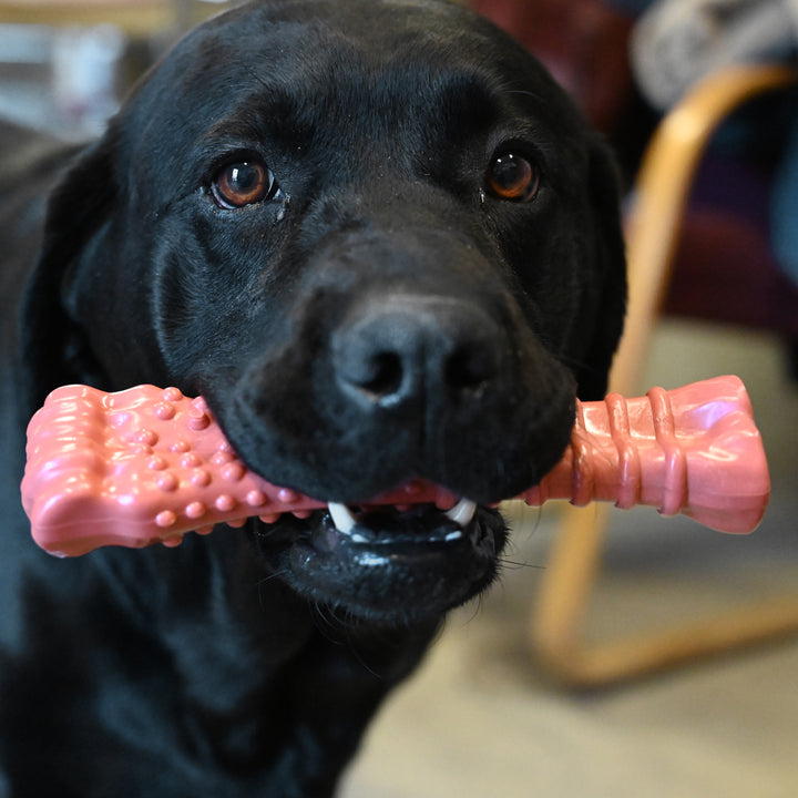 Nylabone Power Chew Textured Knuckle Bone Dog Chew Toy Bacon X-Large (1 Count)