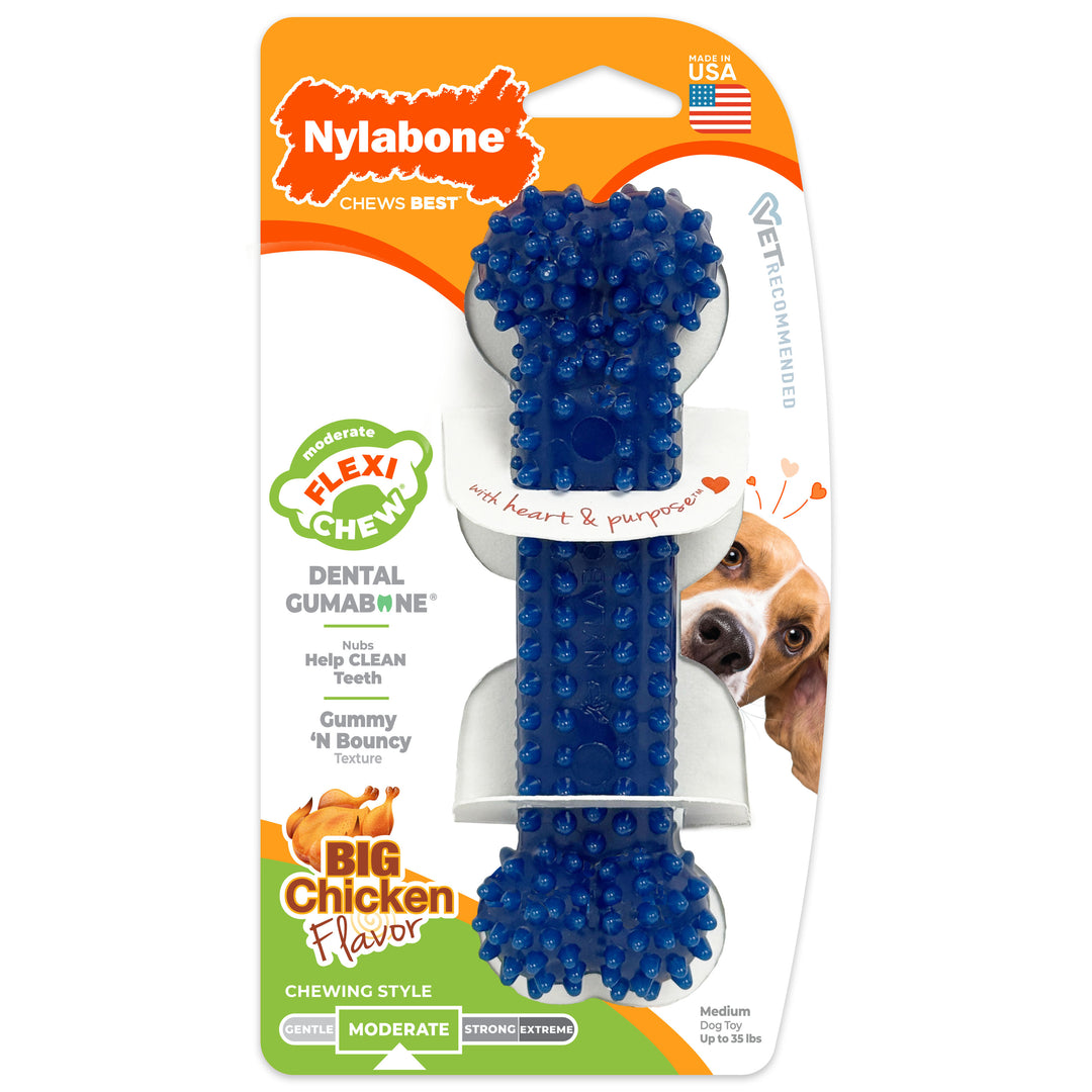 Nylabone Flexi Chew Gumabone Textured Dental Bone Dog Chew Toy Chicken Medium (1 Count)