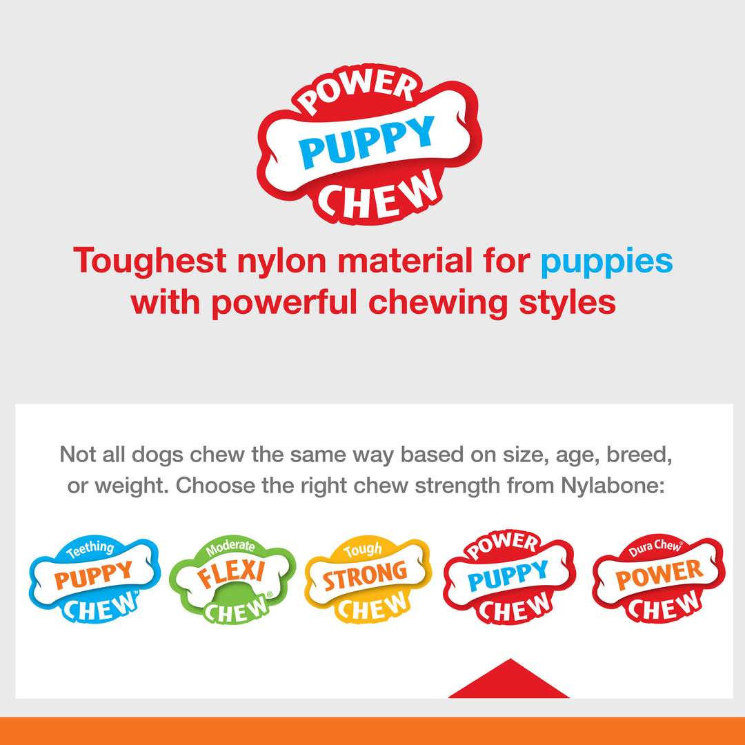 Nylabone Puppy Power Chew Knuckle Bone Pop-In Treat Toy &amp; Treat Combo Chicken Medium (1 Count)