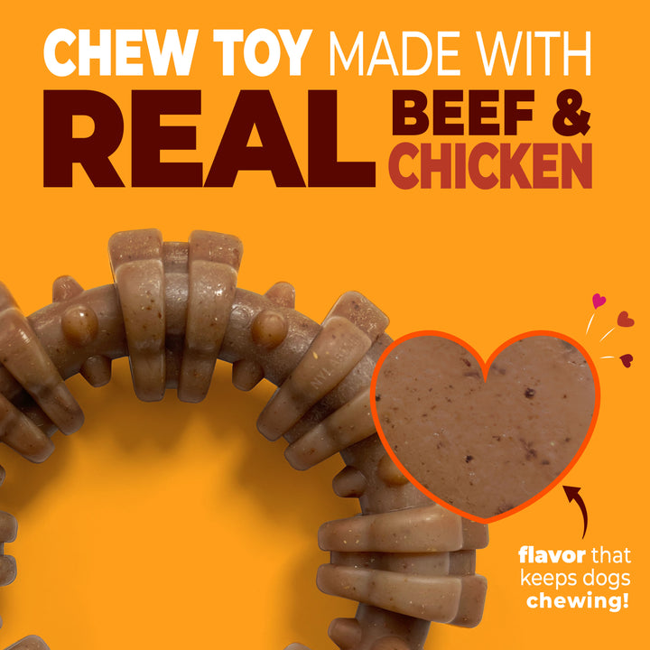 Nylabone Strong Chew Textured Ring Dog Chew Toy Made with Real Beef &amp; Chicken Small (1 Count)