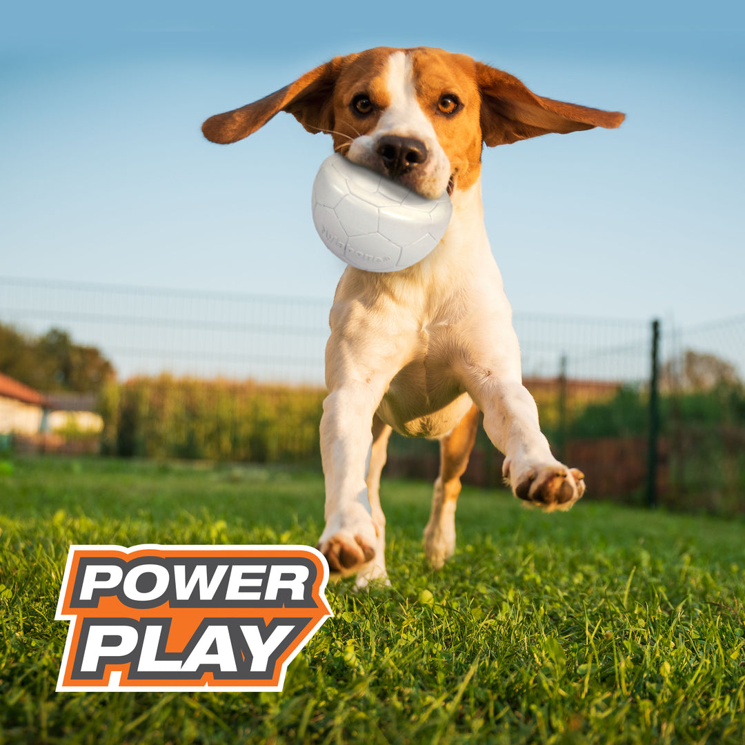 Nylabone Power Play Gripz Dog Soccer Ball Toy Medium (1 Count)