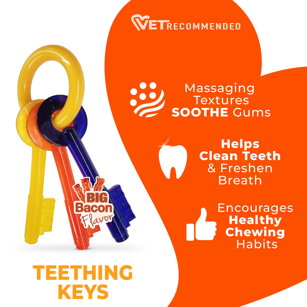Nylabone Puppy Chew Teething Keys Dog Chew Toy Bacon Small (1 Count)