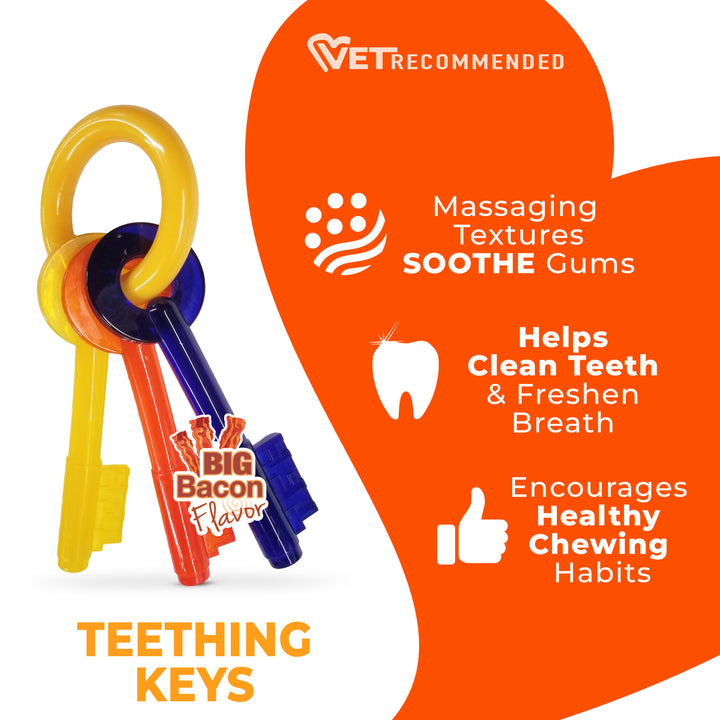 Nylabone Puppy Chew Teething Keys Dog Chew Toy Bacon Small (1 Count)