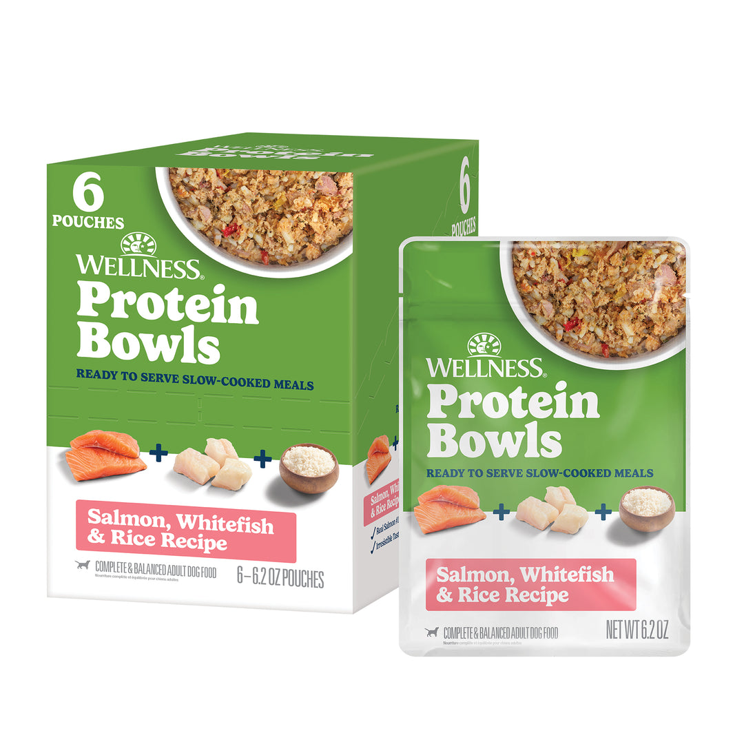 Wellness Protein Bowls, Adult Fresh Alternative Dog Food, Wholesome Grains, 6.2 Ounce Pouch, 6 Pack, (Salmon, Whitefish &amp; Rice Recipe)