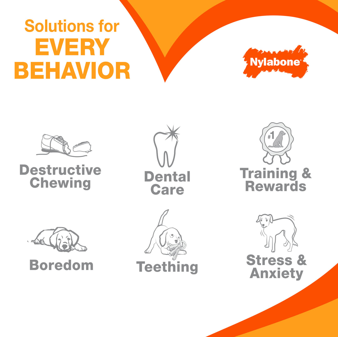 Nylabone Power Chew Dental Dinosaur Dog Chew Toy Chicken Large (1 Count)