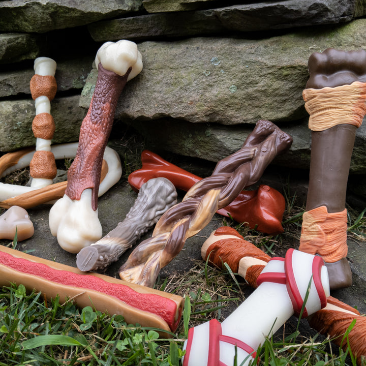 Nylabone Power Chew Shish Kabob Alternative Nylon Chew Toy Chicken Jerky Small/Regular - Up to 25 Ibs. (1 Count)