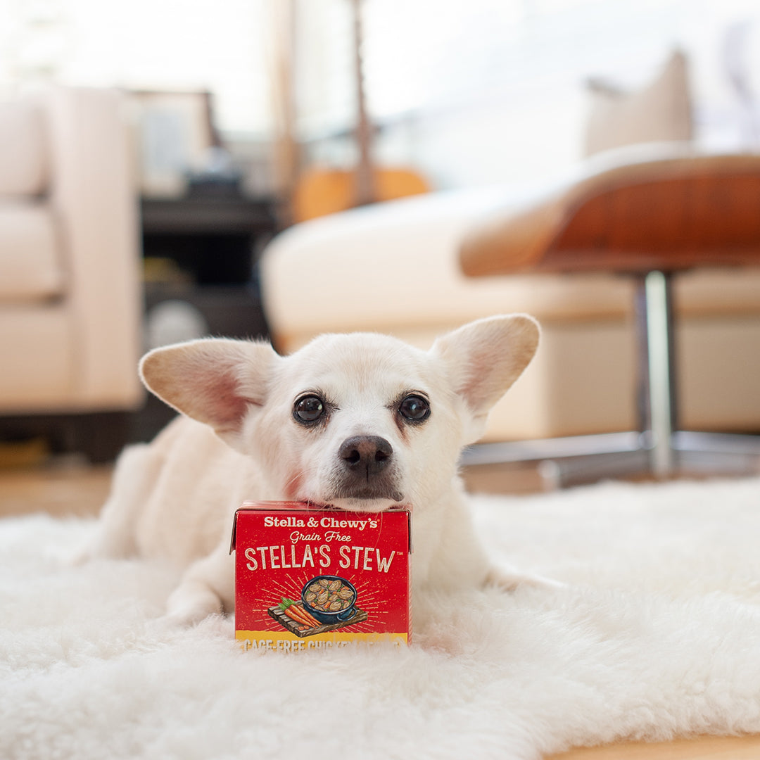 Stella&