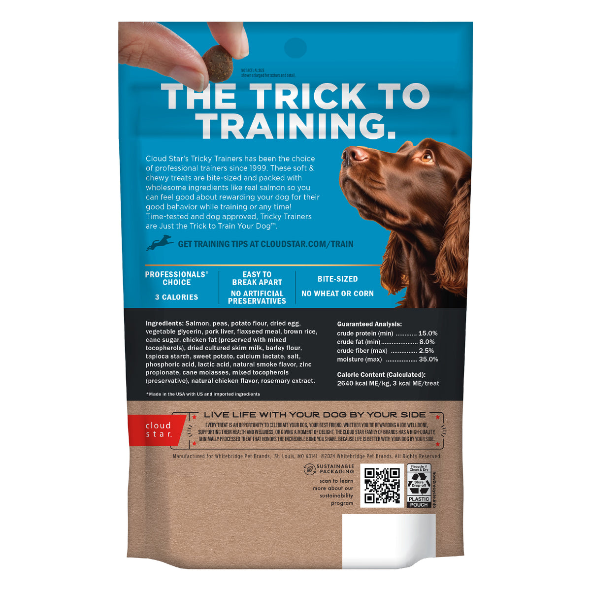 Cloud Star Chewy Salmon Training Treats 5oz - back