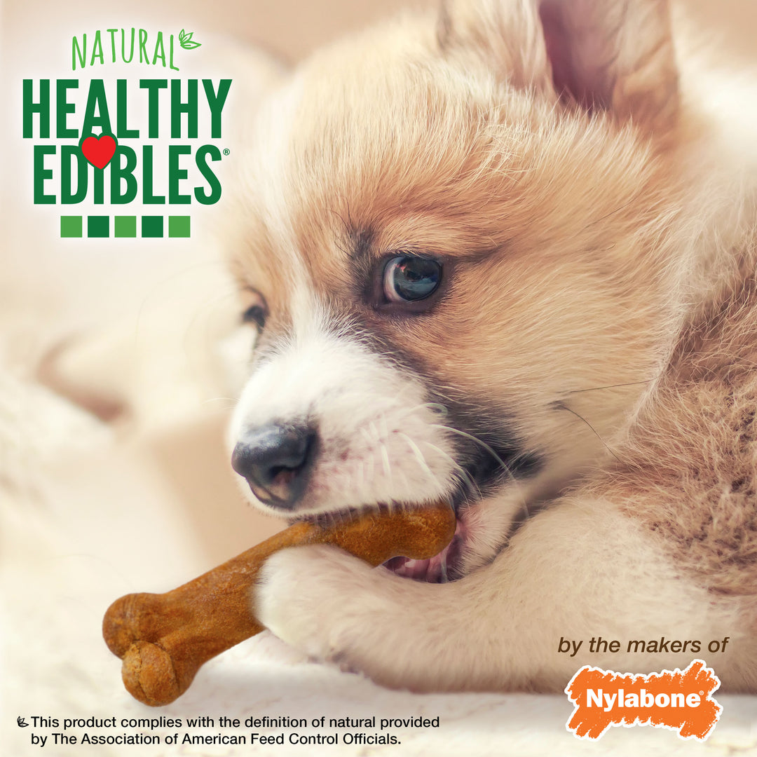 Nylabone Healthy Edibles All-Natural Long Lasting Puppy Chew Treats Turkey &amp; Sweet Potato X-Small (16 Count)