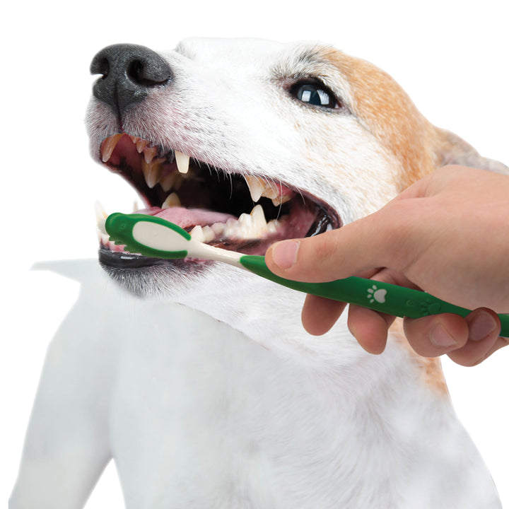 Nylabone Advanced Oral Care Natural Dog Dental Kit Peanut Butter 2.5 Ounce (3 Count)