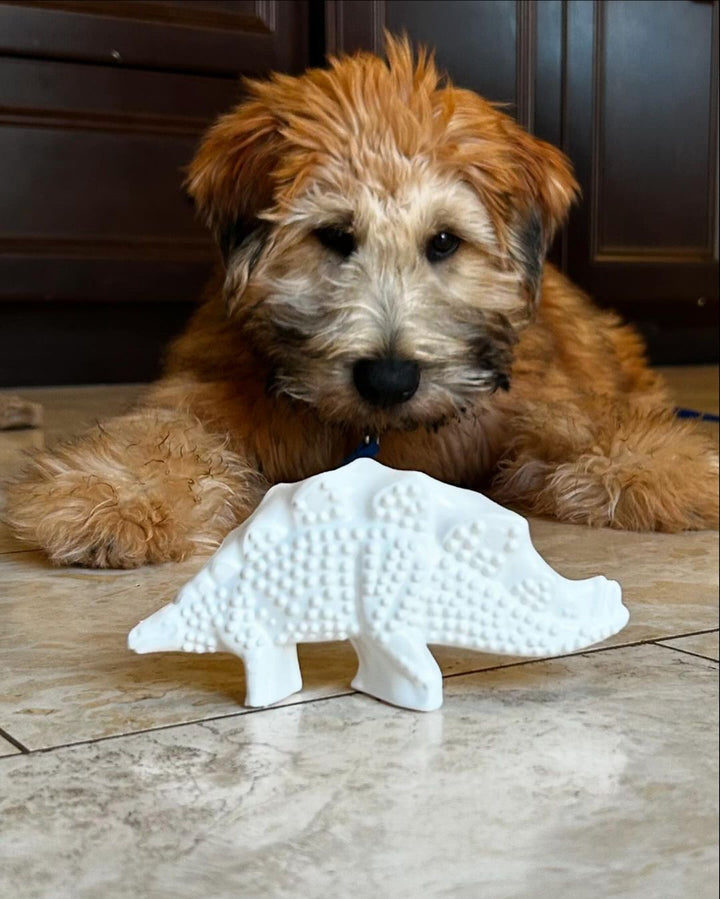 Nylabone Power Chew Dental Dinosaur Dog Chew Toy Chicken Large (1 Count)