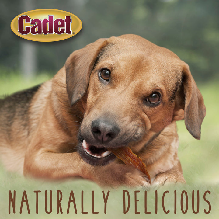 Cadet Gourmet Duck Breast Treats for Dogs 3 Ounce